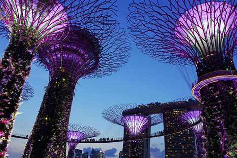 How to Make the Most of Your First Visit to Jewel Changi Airport