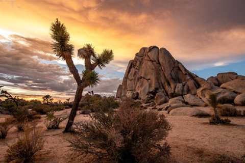 The Most Effective Road Trips from Los Angeles