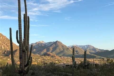 Reasons to Visit Scottsdale: Activities, Restaurants, and Shopping