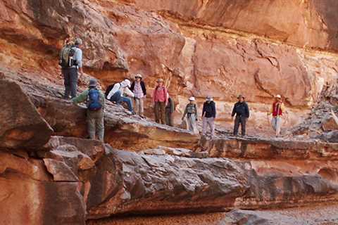 Guided Tours of the Grand Canyon in Arizona
