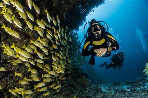 How to Start a Career in Bali with Scuba Diving