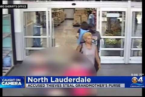 Duo Accused Of Stealing A Grandmother''s Purse Caught On Camera In North Lauderdale