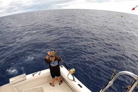 Fishing a FAD Buoy in Hawaii!! Live Baiting Aku''''s