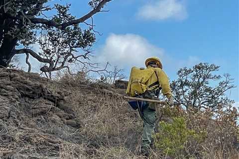 Wildfire in Hawaiʻi Volcanoes National Park completely contained
