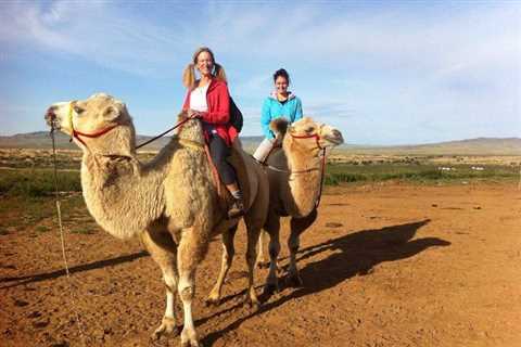 Overnight Semi-Gobi Tour Including Lunch And Free Camel or Horseback Ride - Mongolian Tours
