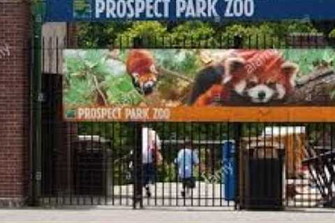 DJ Tony Torres at Prospect Park  Zoo Brooklyn NY  2020