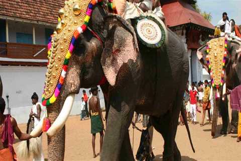 Exploring the Rich Cultural Heritage of Kerala