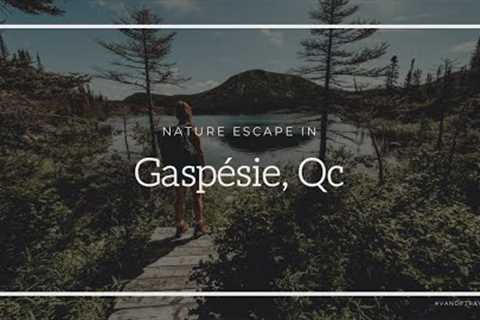 Gaspésie, Canada EPIC CINEMATIC travel video (filmed with the #Fujifilm X-T4)