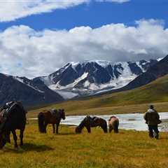 MONGOLIA HORSE TREKKING TOUR 2023 - Discover Altai