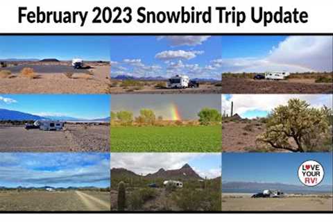 RV Snowbird Trip Update - Feb 2023 (Ajo, Cibola NWR, Salton Sea, Amboy Crater to Death Valley)