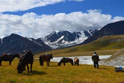 MONGOLIA HORSE TREKKING TOUR 2023 - Discover Altai