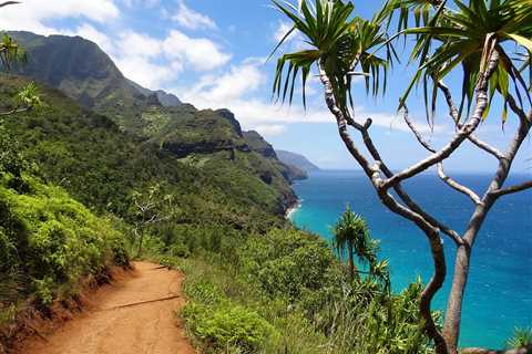 Hawaii’s Best Hiking Trails: A Guide For Nature Enthusiasts