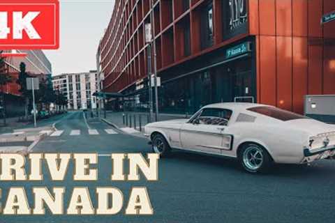 How Canadians drive - What brands of car they drive / travel around the world / 4k motivation video