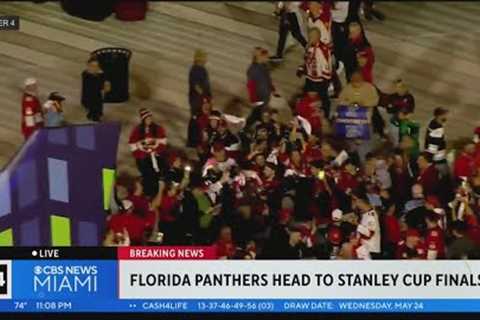 The fans power their Florida Panthers to the Stanley Cup Finals