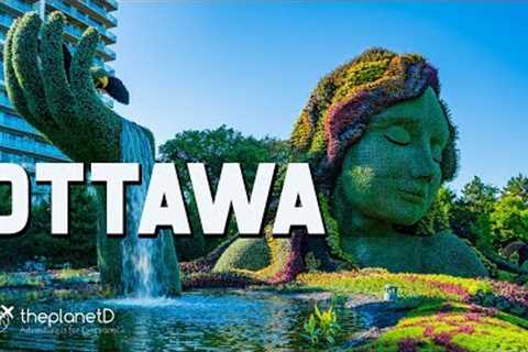 Things to do in Ottawa - Canadian Travel Vlog | The Planet D