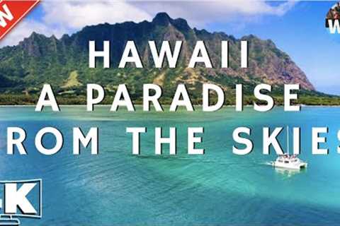HAWAII - VIEWS FROM THE SKY! DRONE VIEW 4K - WAIKIKI BEACH - HONOLULU - HANAUMA BAY & MORE