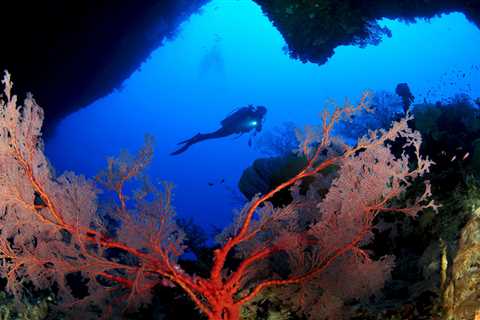 8 Scuba Destinations with the Best Year-Round Diving