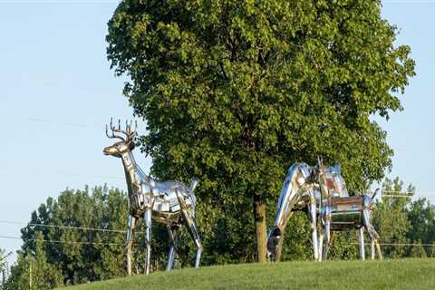 Exploring Munster, Indiana's Outdoor Attractions: Parks, Trails, and More