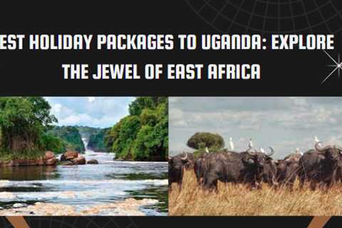 Best Holiday Packages to Uganda: Explore the Jewel of East Africa