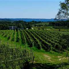Can vineyards grow anywhere?