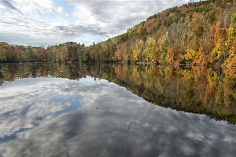 Exploring Nature in Bergen County: Parks and Preserves