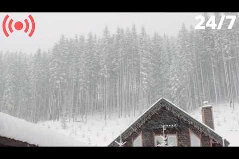 Blizzard Snowstorm Sounds for Relaxing & Sleeping | Strong Wind & Falling Snow Sounds..
