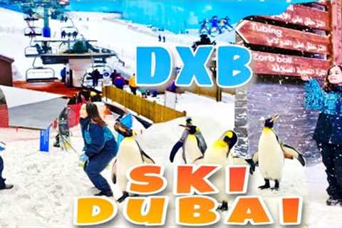Thrilling Ski Adventures in Ski Dubai: Snowy Fun in the Middle East!