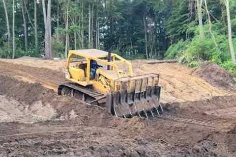 Cat D7 Play Time