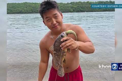 Family shares message after Hawaii boy dies while spearfishing