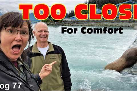 TOO CLOSE FOR COMFORT in Alaska 2023 / RV fulltime Living / RV Travel / The Last Frontier/ Valdez