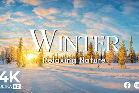 Winter Wonderlands 4K | Relaxing music, Calming music, Winter nature sounds