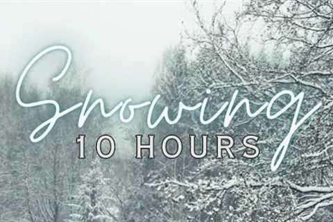 ❄ Snow Storm Over Woodlands | 10 Hours | Relaxing Snowstorm | Beautiful Calming Ambience ❄