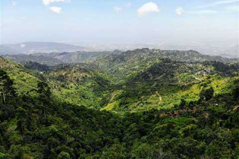 Yaaman Adventure Park: A Hidden Gem in Jamaica