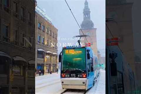 norway oslo snowfall ||norway oslo city tour winter #snowfall #oslo #norway #shorts