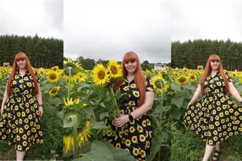WEEKLY VLOG | SUNFLOWER FIELDS, ASHFORD OUTLET, SPROUT''S SHEIN HAU, HEVER CASTLE & MORE