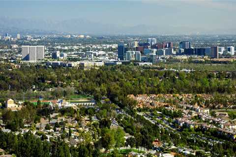Invasive Plant Species: Understanding and Controlling the Damage in Irvine, California