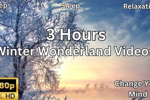 Beautiful ⛅️Winter Wonderland, Peaceful Calm Instrumental Music, Winter Morning