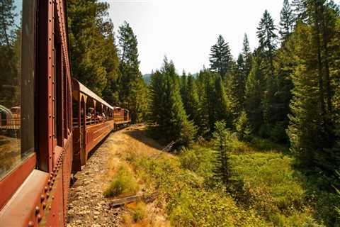 This Secret Bar In California’s Redwood Forest Can Only Be Reached By Train