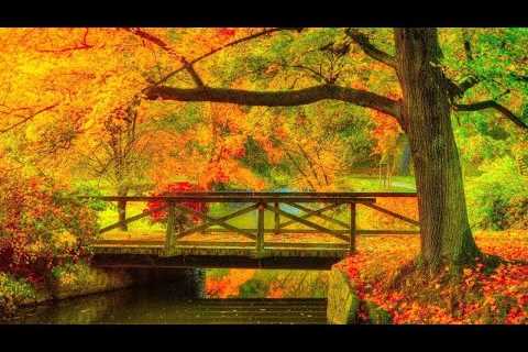 Autumn Scenery, Beautiful Fall Foliage, Peaceful Soothing Music, Autumn  Leaves by Tim Janis
