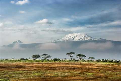 Untamed Beauty: Discovering the Wonders of Tanzania on Your Dream  Vacation