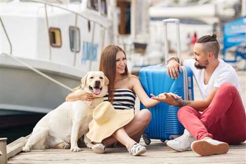 7 Pet-Friendly Amenities in Houseboat Rentals - Boat Hire Hub