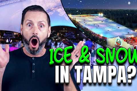 Living In Tampa Live | Ice Skating, Sledding, and Curling in Tampa?