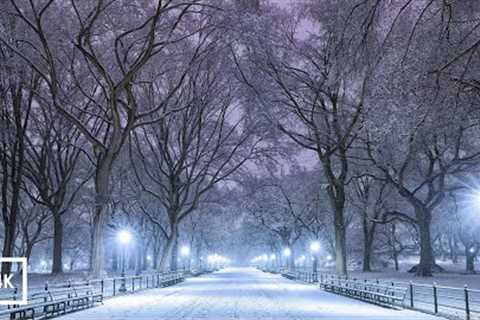⛄Snow - Kar Yağışı - Christmas 2024 - Natural wind sound ❄️ambience - 4K - sleep - relax