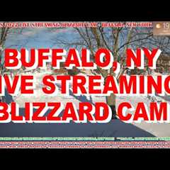 Snow Storm Has Arrived! - Another 1 - 3 Feet of Snow! - 2024 Live Blizzard Cam - Buffalo, NY.