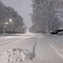 Heavy Snowfall Night Walk | Peaceful Snow Storm, Canada Jan 2024 | 4K 60fps