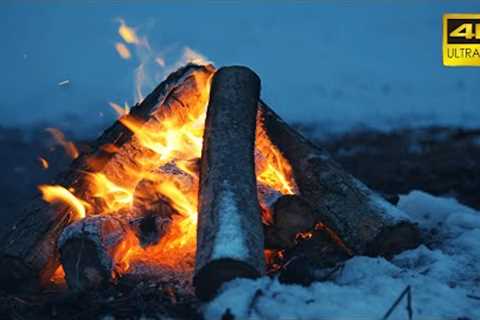 🔥 A Crackling Campfire During a Windy Winter Night (10 HOURS) 50FPS 🔥 Cozy Fireplace 4K for..