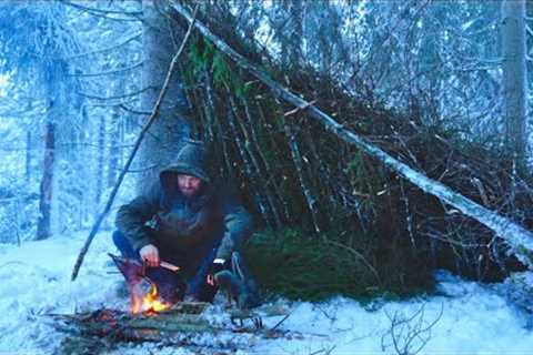 Winter Survival and Bushcraft - Alone in the Bitter Cold