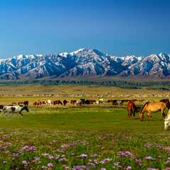 Nomadic Ties: The Importance of Livestock in Mongolian Culture
