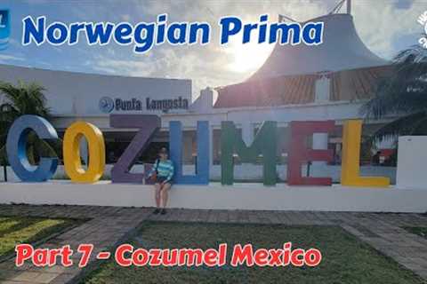 Our Continued Adventures In Cozumel Mexico - Part 7