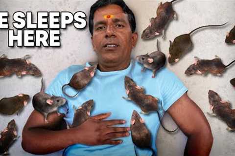 Meet the Rat King Who Worships 25,000 Rats